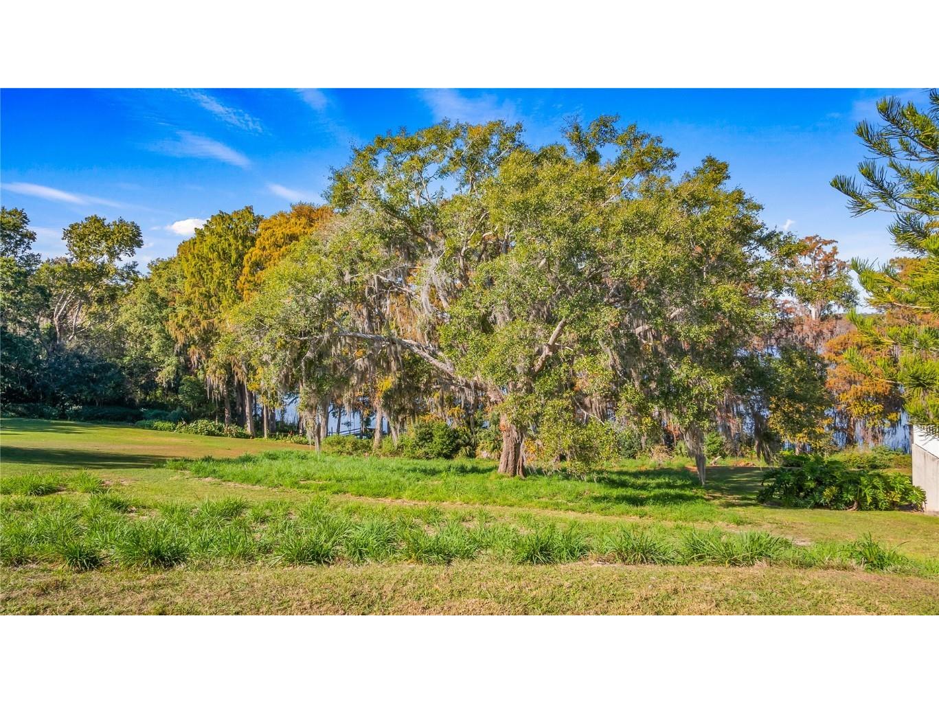 Lake Swatara Drive Eustis FL 32736 - LAKE SWATARA G5105395 image39