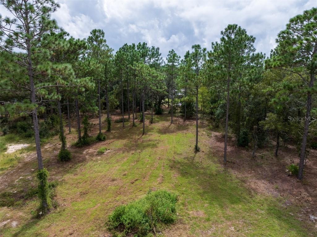 Lake Tropicana Ranchettes 4th A Dunnellon FL 34432 S5112408 image1