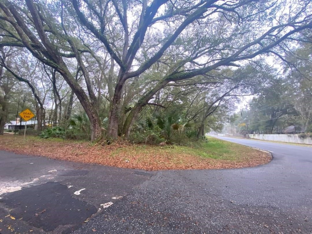 Lake Unity Road Fruitland Park FL 34731 O6083105 image1