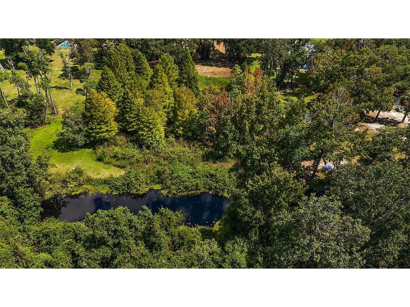 Lake Unity Road Fruitland Park FL 34731 G5087552 image11