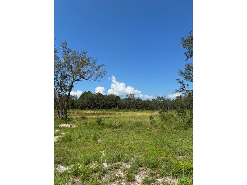 Lake Yale Road Umatilla FL 32784 G5100985 image1