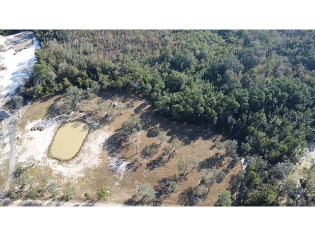 Lake Yale Road Umatilla FL 32784 G5100985 image10