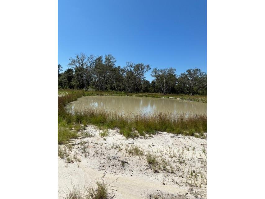 Lake Yale Road Umatilla FL 32784 G5100985 image2