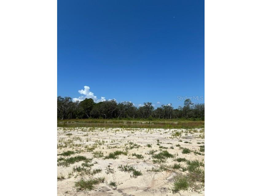 Lake Yale Road Umatilla FL 32784 G5100985 image3