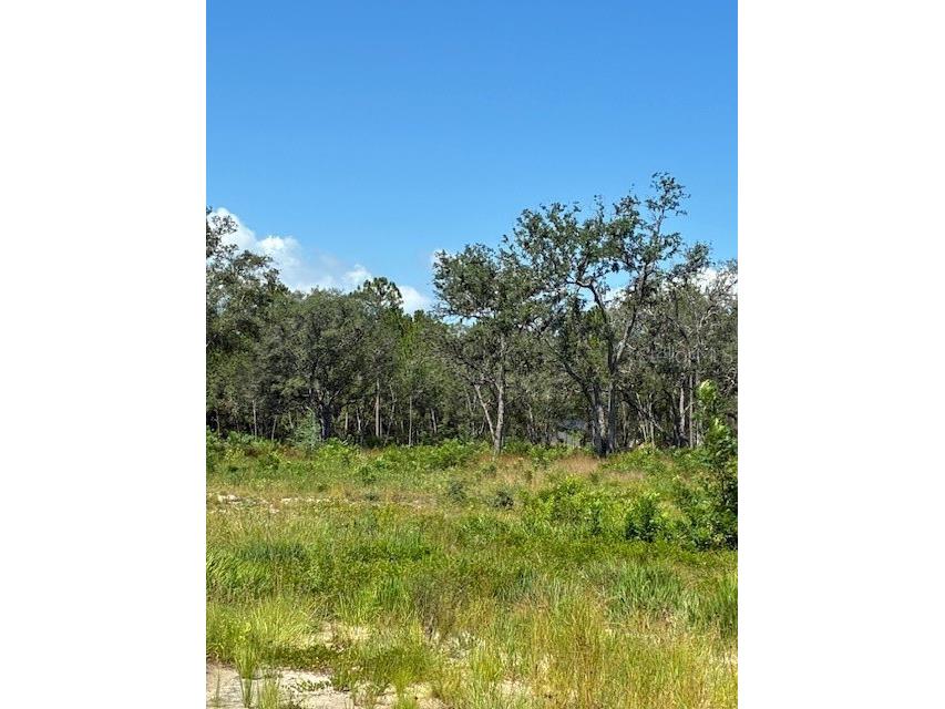 Lake Yale Road Umatilla FL 32784 G5100985 image4