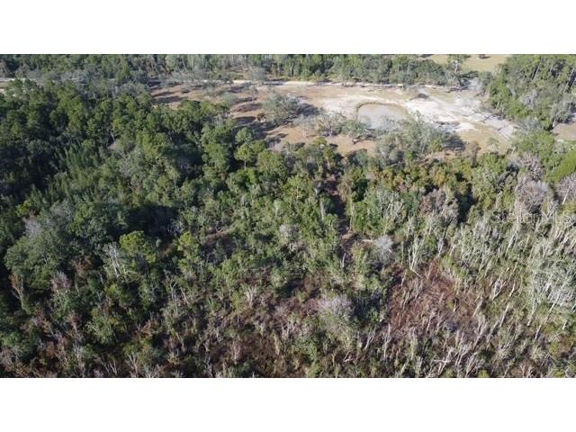 Lake Yale Road Umatilla FL 32784 G5100985 image7