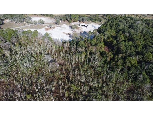 Lake Yale Road Umatilla FL 32784 G5100985 image8