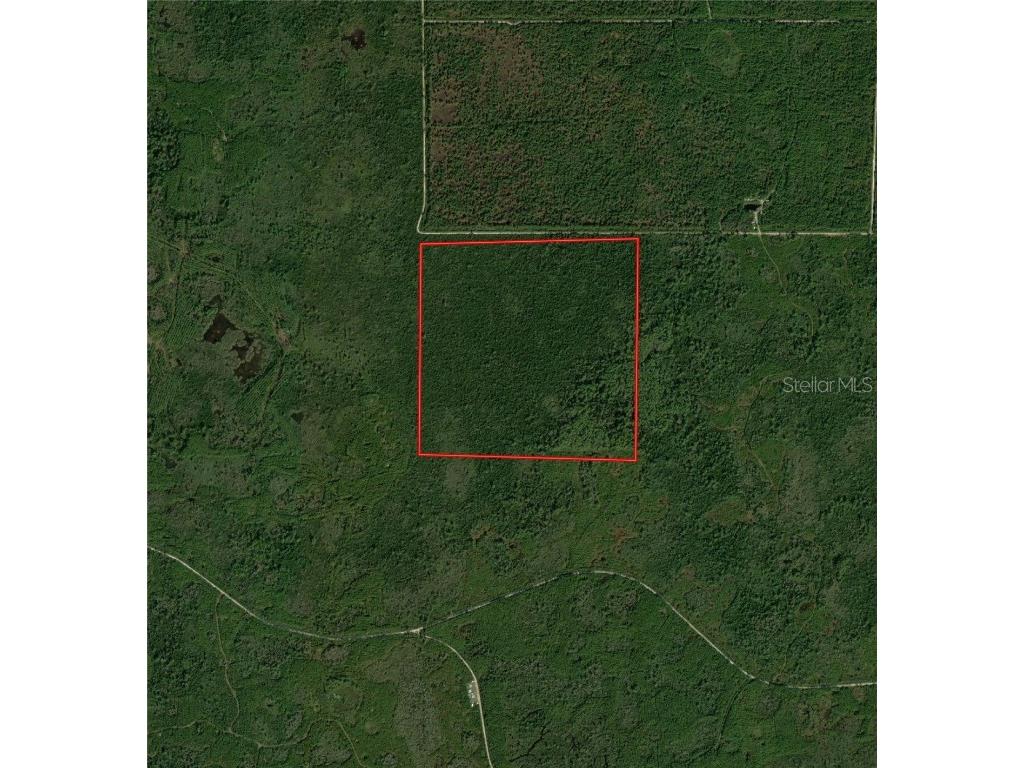 Lakebird Road Perry FL 32347 GC527337 image1