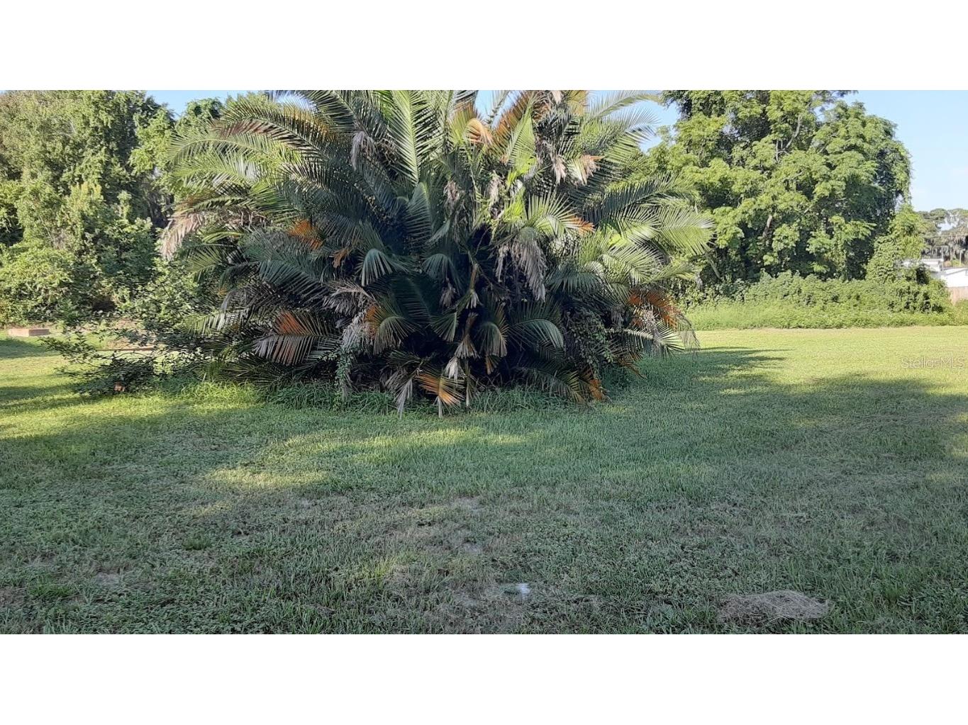 Lakecrest Lane Tavares FL 32778 G5046228 image1