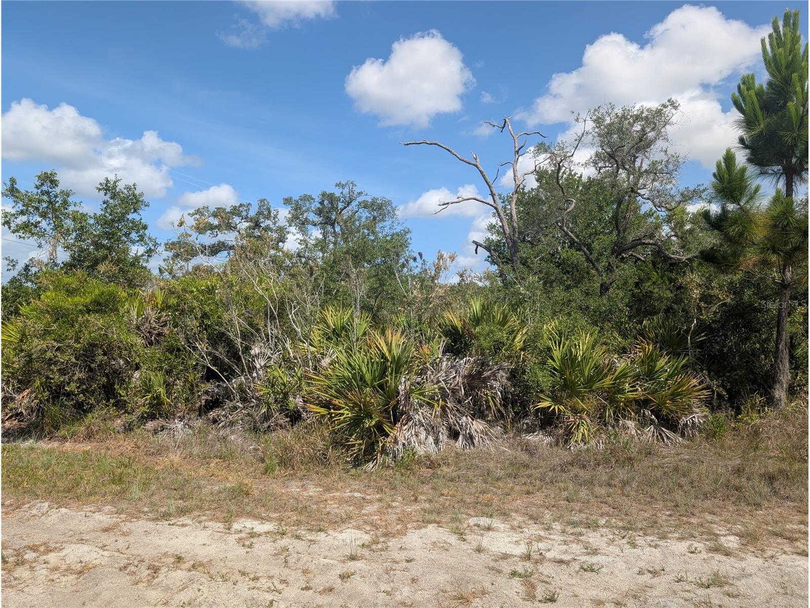 Lakeland Drive Indian Lake Estates FL 33855 - LAKE WALK-IN-WATER P4938803 image1