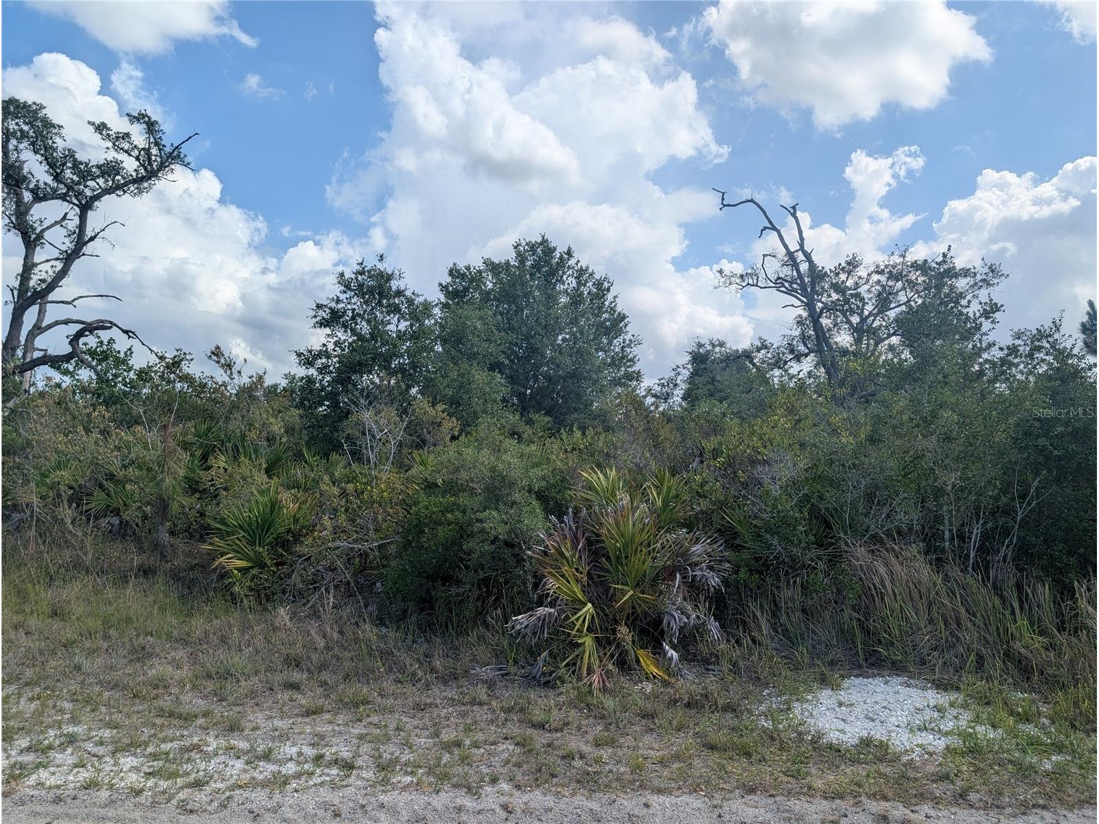 Lakeland Drive Indian Lake Estates FL 33855 - LAKE WALK-IN-WATER P4938803 image8