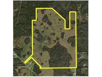  Lakeland FL 33809 O6163202 image1