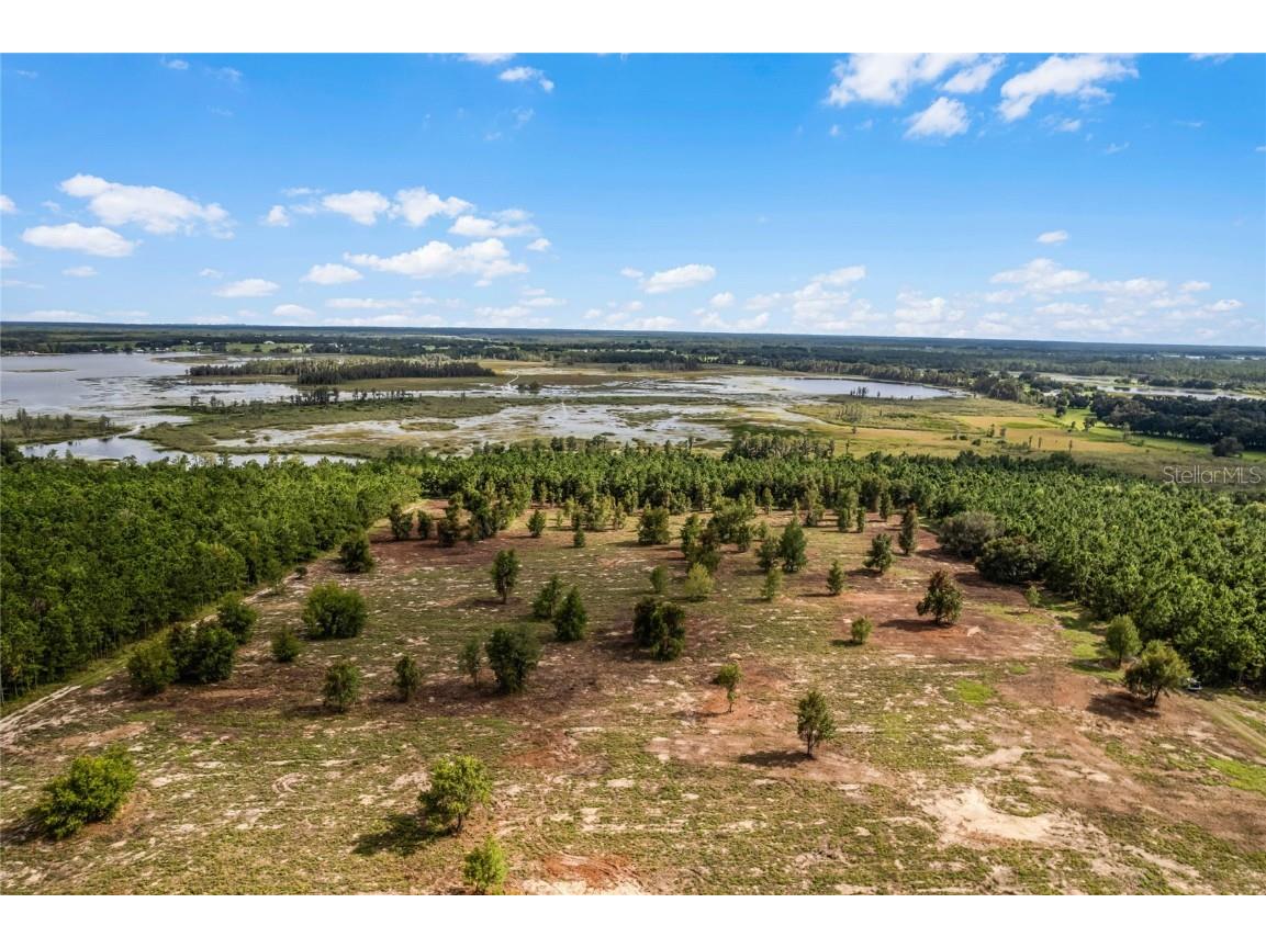Lakeshore Drive Clermont FL 34711 O6168677 image1