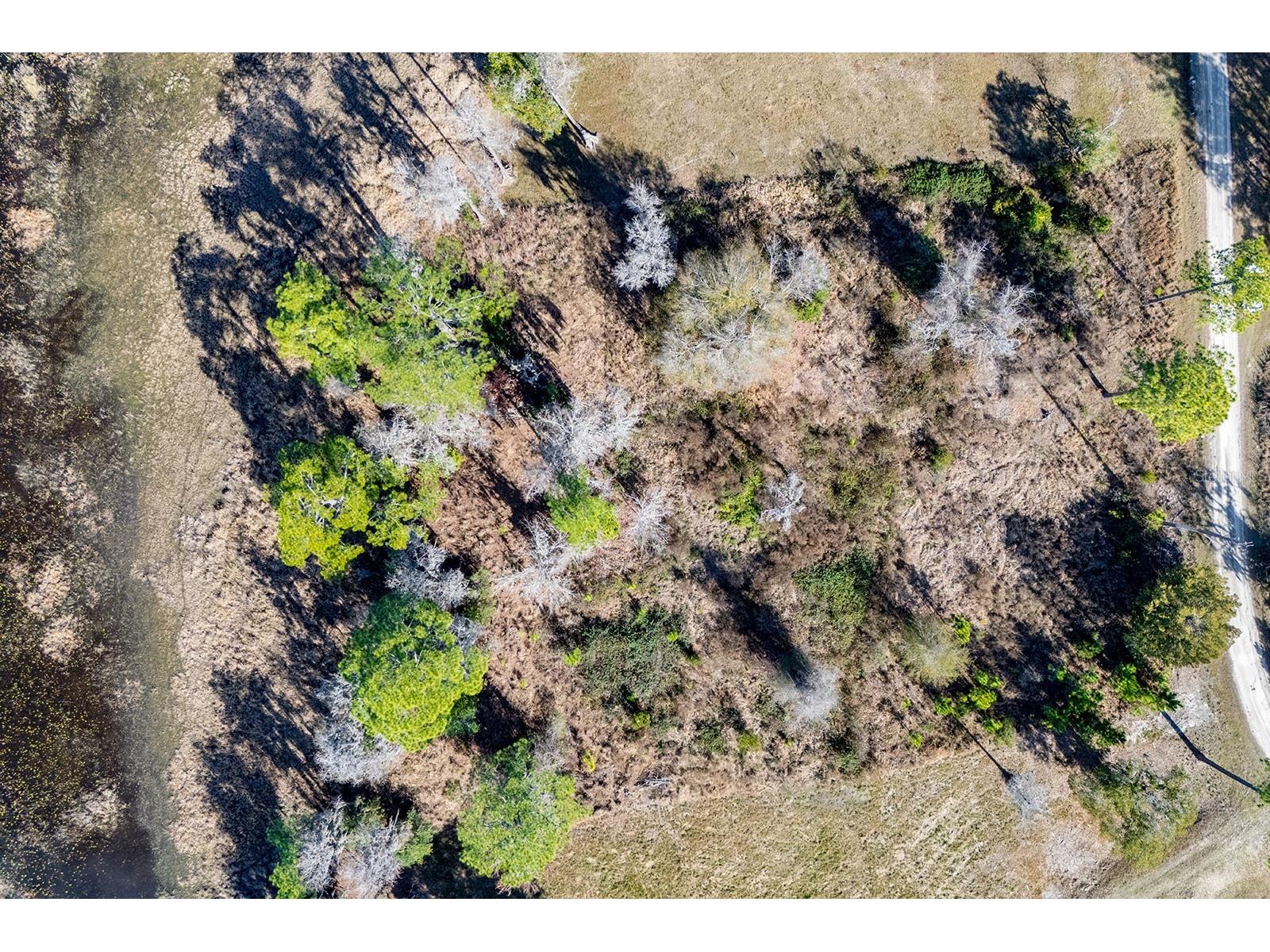 Lakeshore Drive Starke FL 32091 - Crosby Lake GC536524 image50