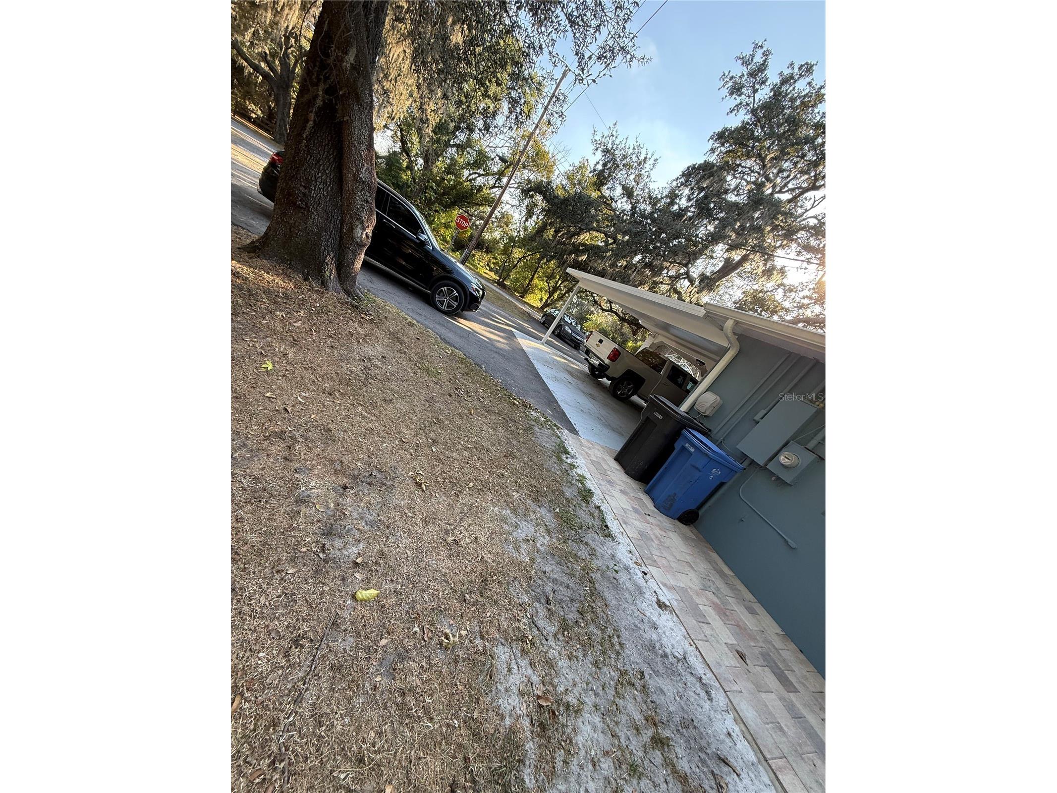 Lakeside Drive Brandon FL 33510 TB8502859 image11