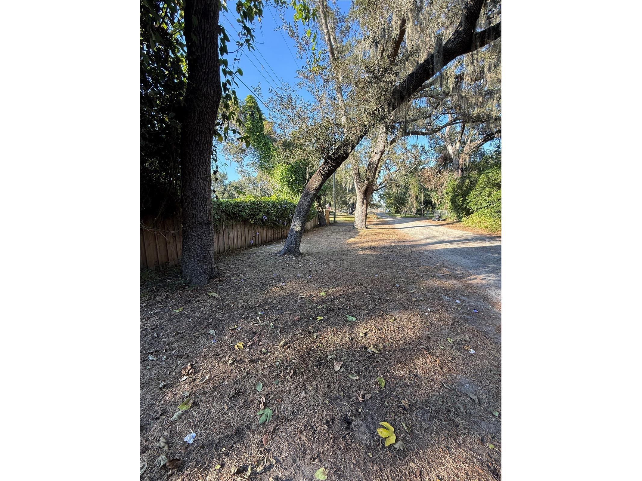 Lakeside Drive Brandon FL 33510 TB8502859 image6