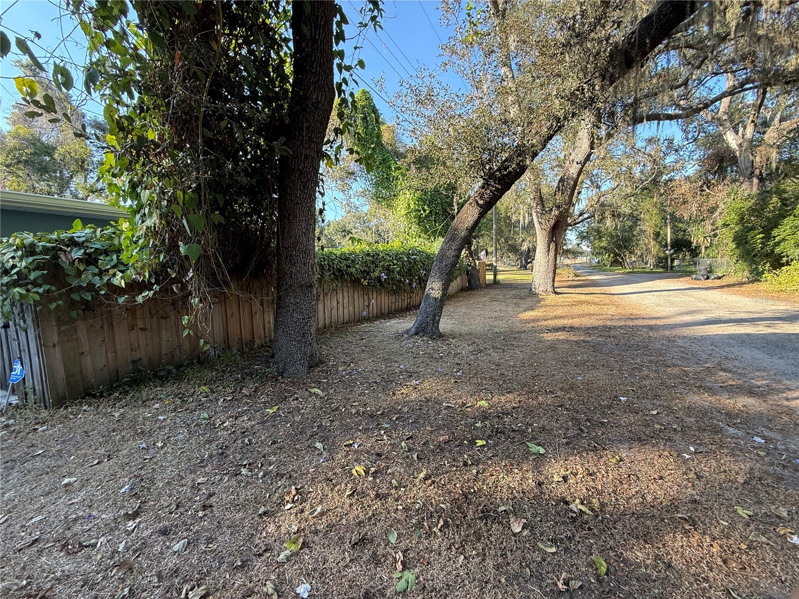 Lakeside Drive Brandon FL 33510 TB8502859 image8