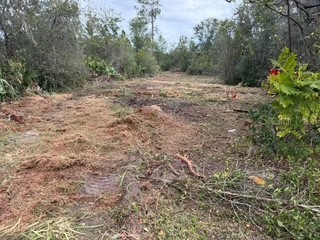 Lakeside Drive Deland FL 32720 G5105834 image2