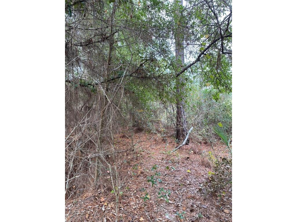 Lakeside Drive Deland FL 32720 O6221286 image1