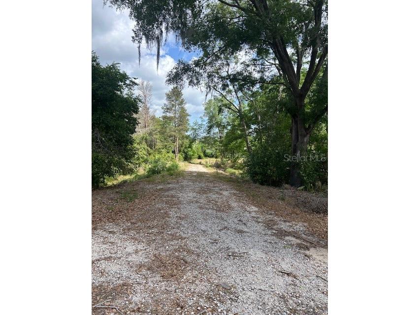 Lakeside Drive Montverde FL 34756 O6297023 image1