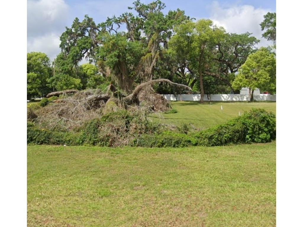 Lakeview Avenue Seffner FL 33584 TB8441576 image1