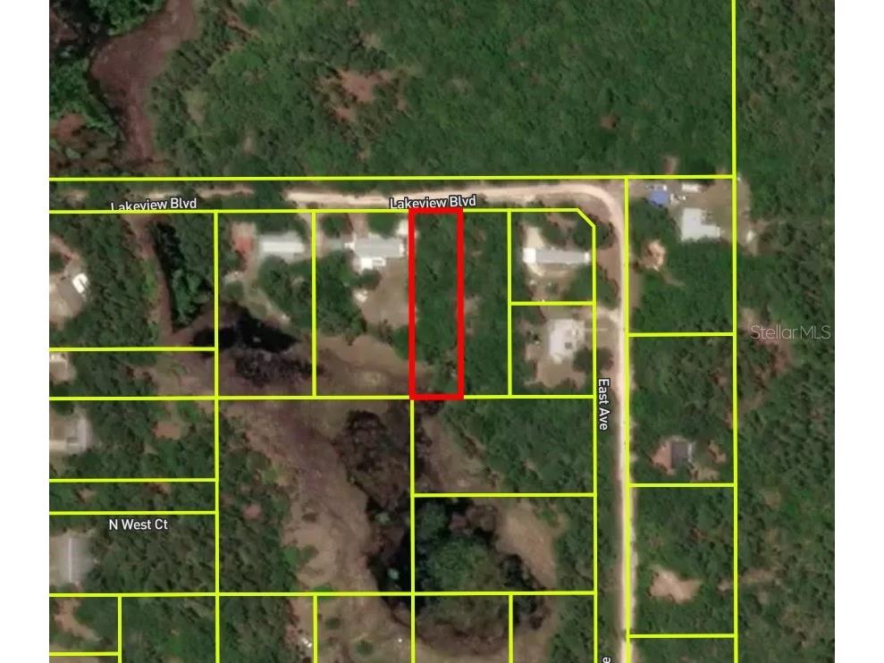 Lakeview Boulevard Paisley FL 32767 O6188204 image1