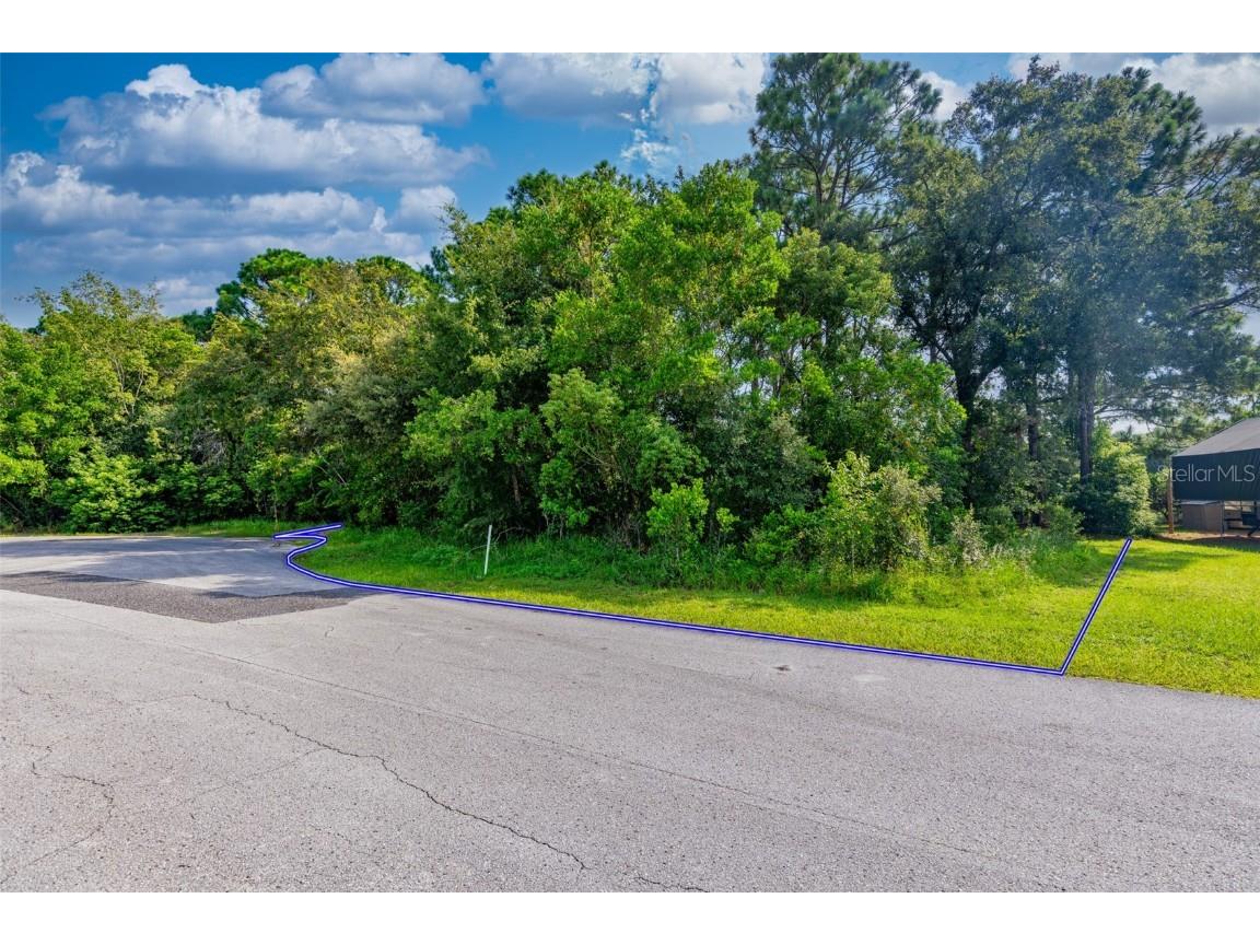 . Lakeview Court Spring Hill FL 34608 T3549166 image1