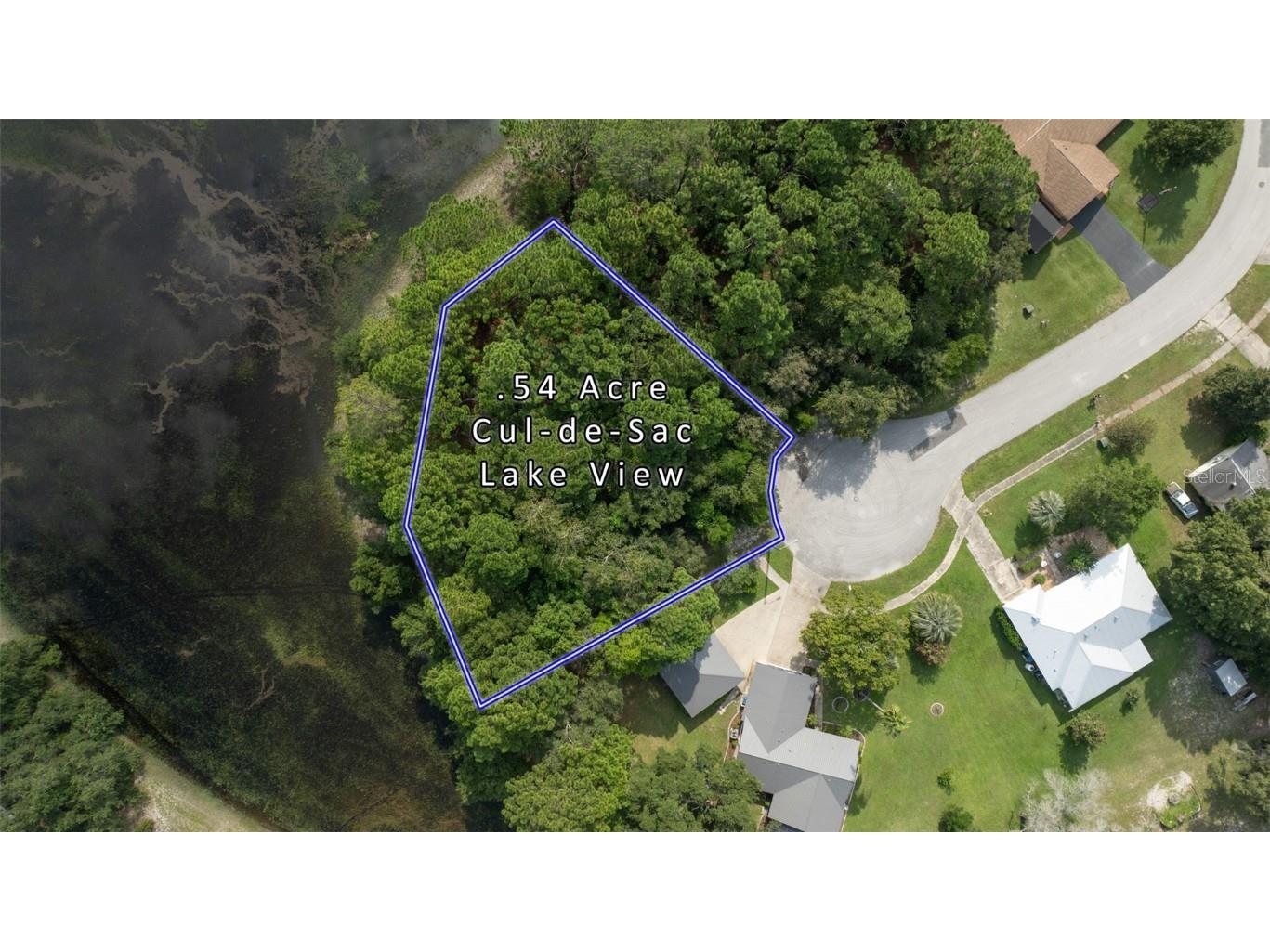 . Lakeview Court Spring Hill FL 34608 TB8402529 image1