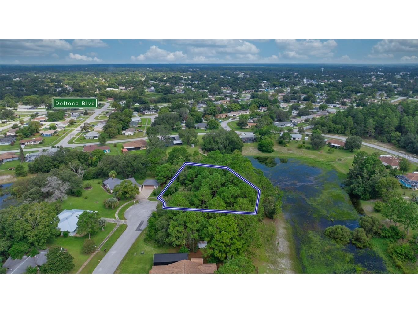 . Lakeview Court Spring Hill FL 34608 TB8402529 image2