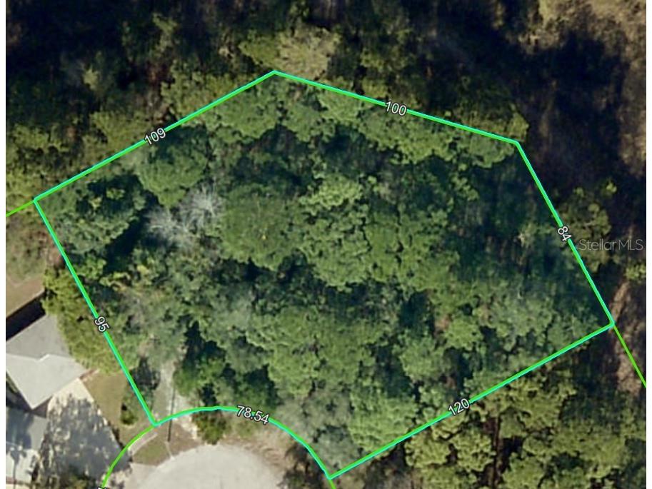 . Lakeview Court Spring Hill FL 34608 TB8402529 image3