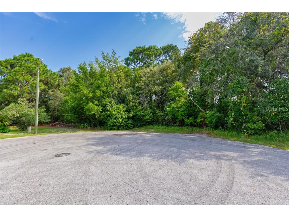 . Lakeview Court Spring Hill FL 34608 TB8402529 image4