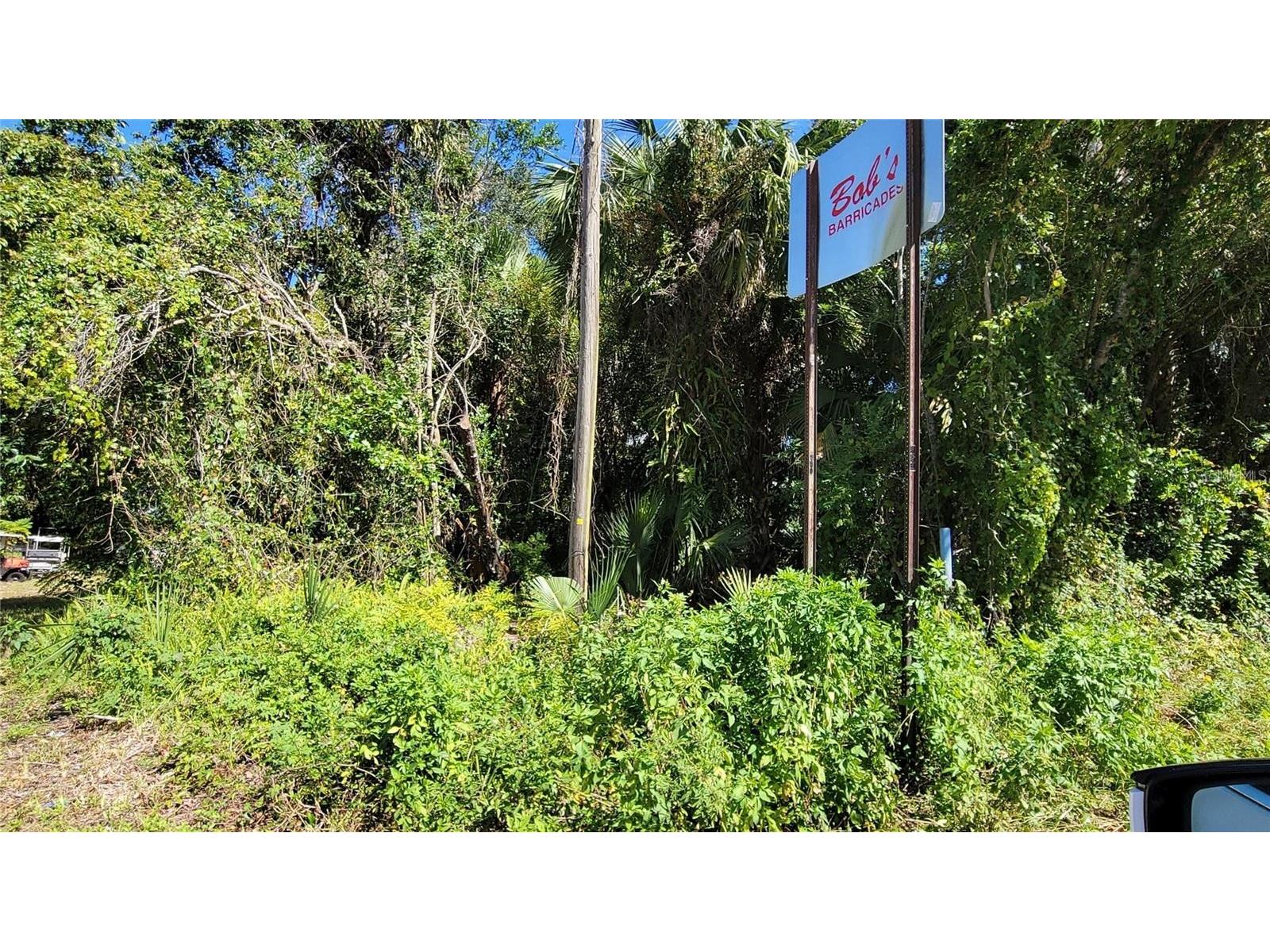 Lakeview St Deland FL 32724 V4946495 image2