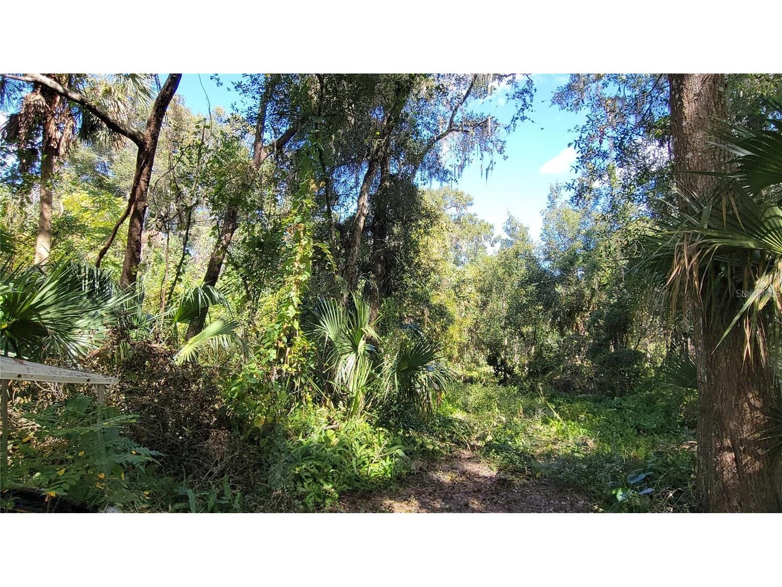 Lakeview St Deland FL 32724 V4946495 image5