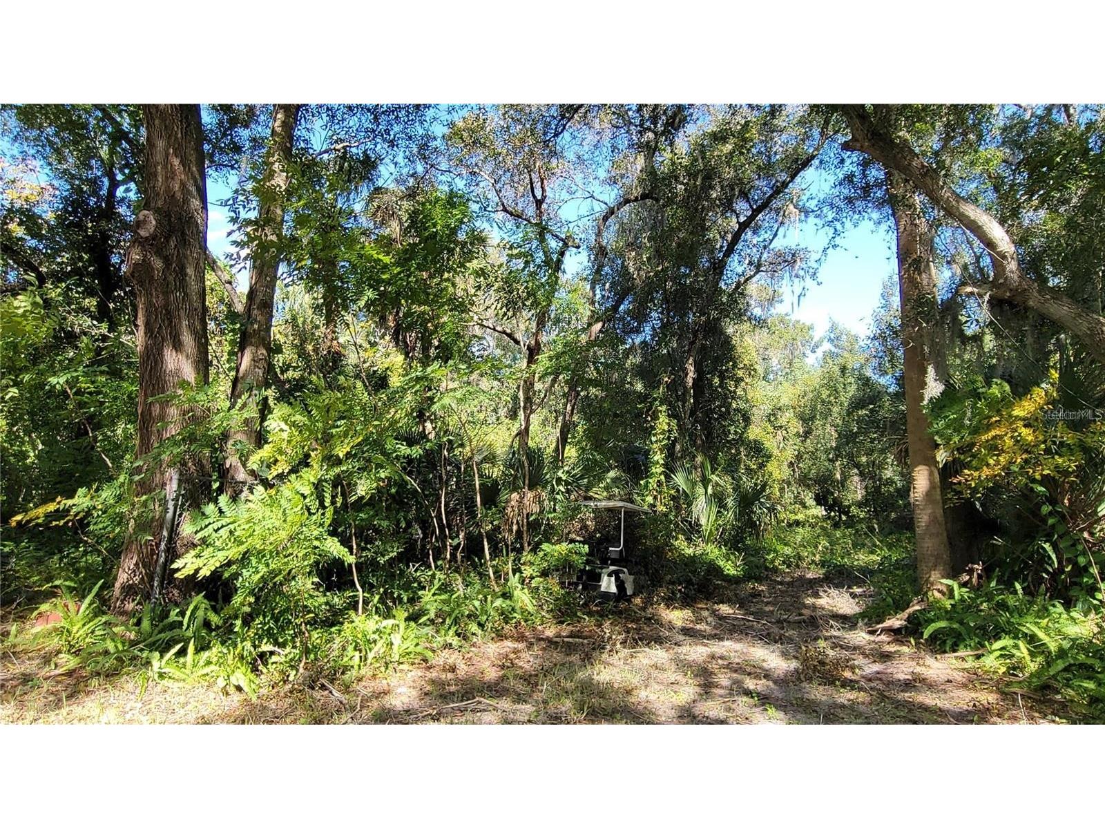 Lakeview St Deland FL 32724 V4946495 image6