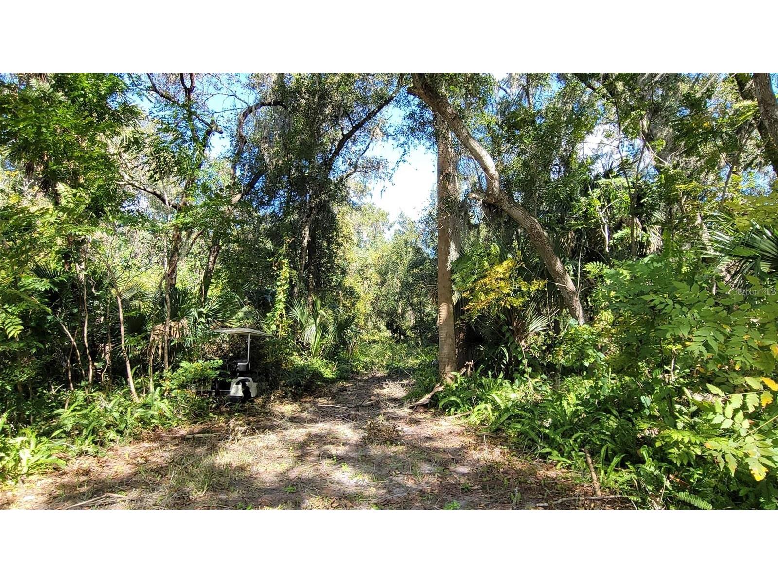 Lakeview St Deland FL 32724 V4946495 image7