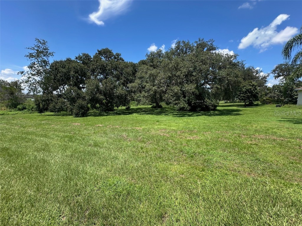 Lallemand Drive Dade City FL 33525 TB8420182 image1