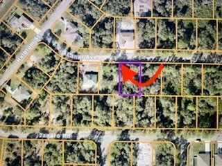 Lanai Avenue North Port FL 34288 C7475897 image1