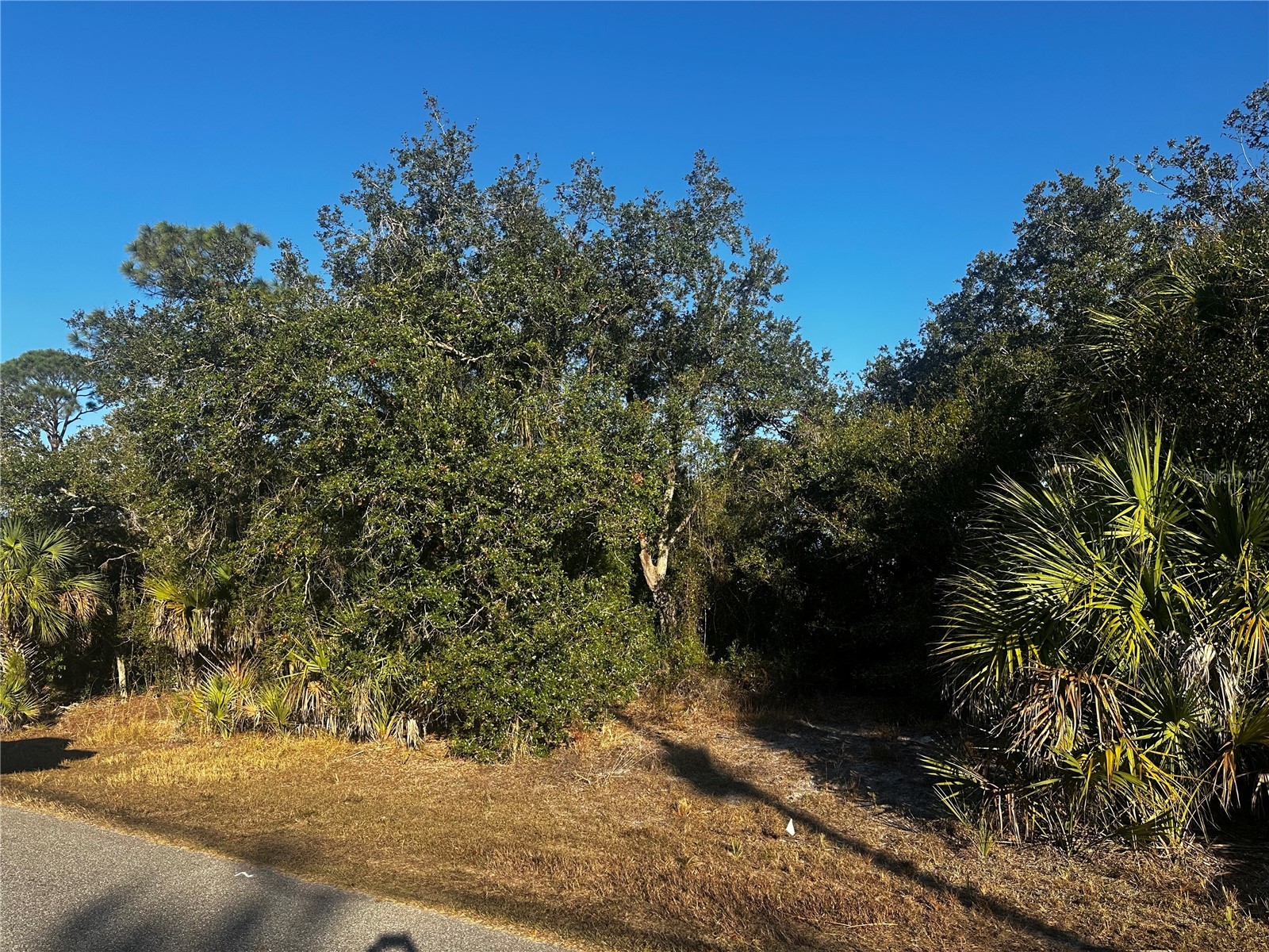 Lanai Avenue North Port FL 34288 D6145366 image1