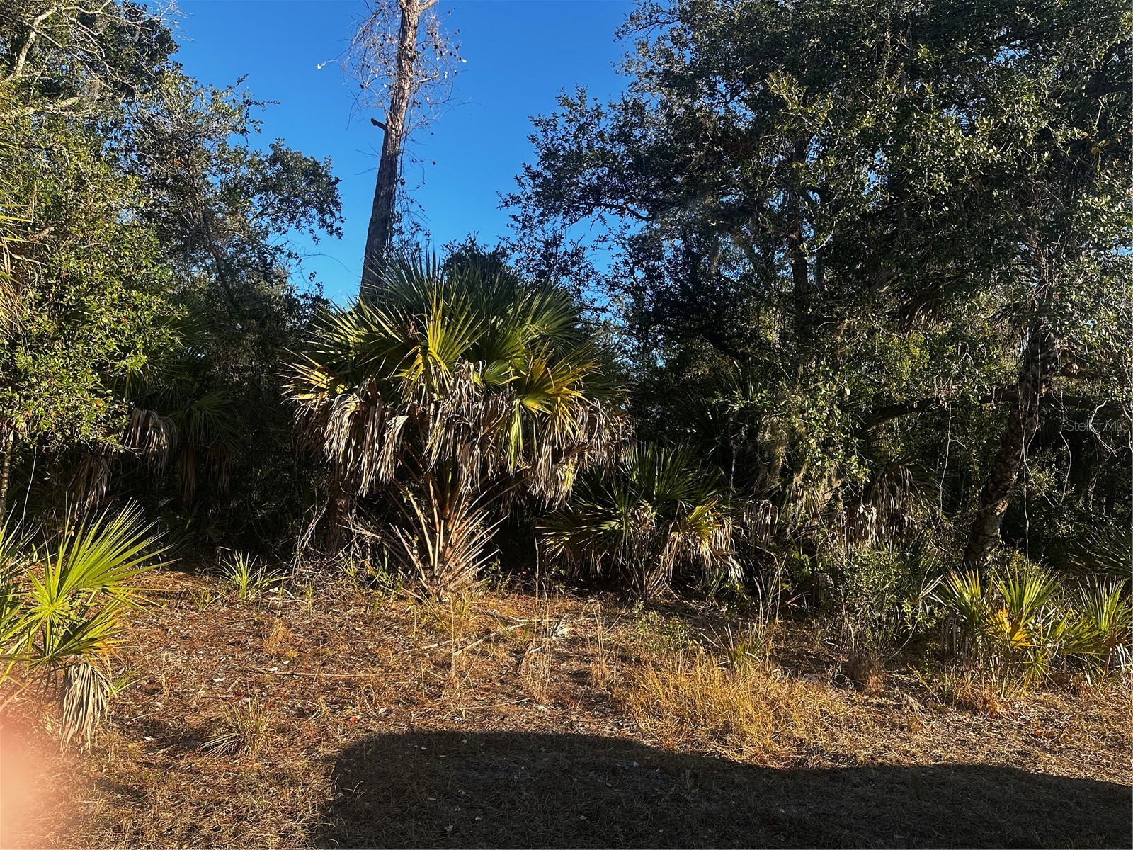 Lanai Avenue North Port FL 34288 D6145367 image1