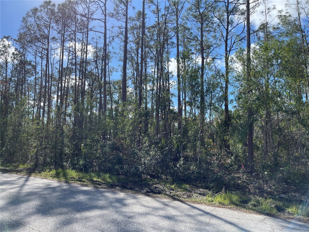 Langsom Lane North Port FL 34286 C7470641 image1