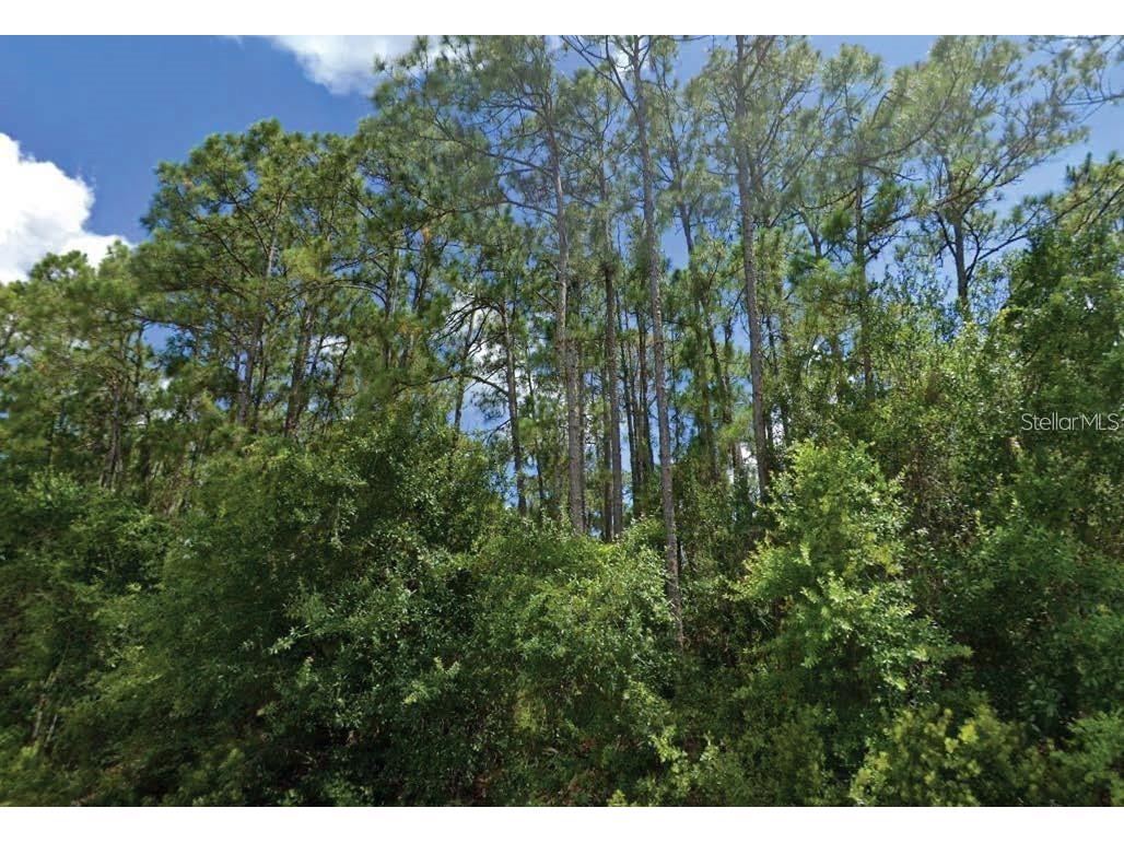 Langsom Lane North Port FL 34286 O6389390 image1