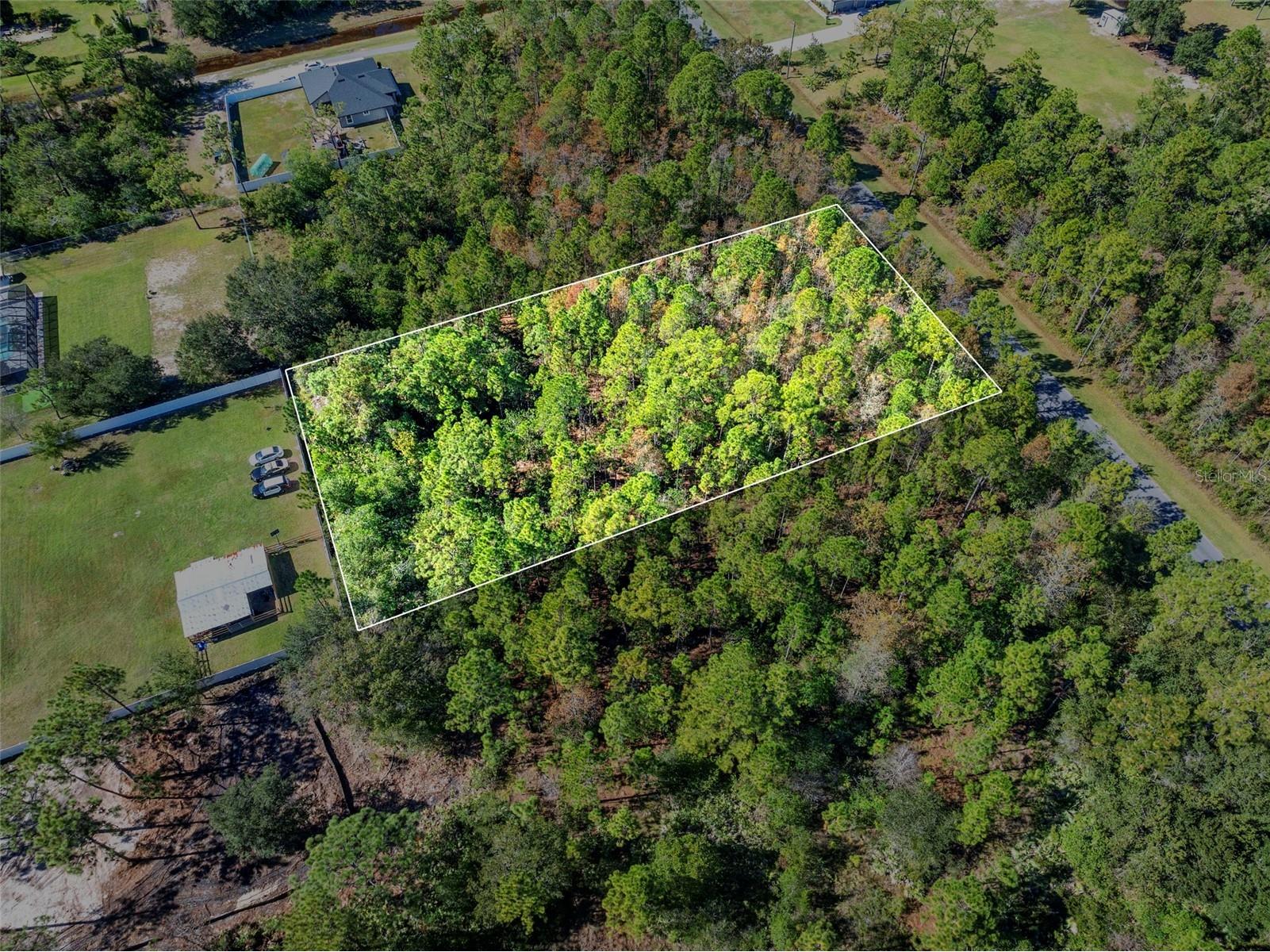 Lansdowne Street Orlando FL 32833 O6347665 image5