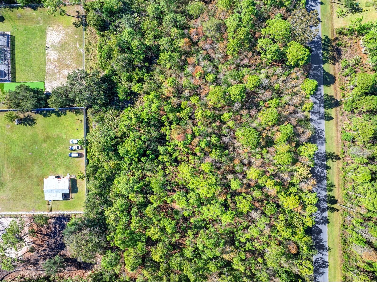 Lansdowne Street Orlando FL 32833 O6347665 image8