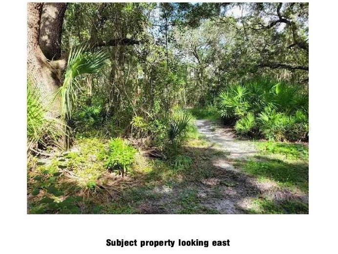 Lantana Avenue Clearwater FL 33755 TB8442403 image1