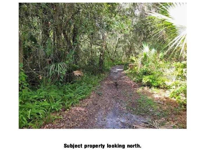 Lantana Avenue Clearwater FL 33755 TB8442403 image2