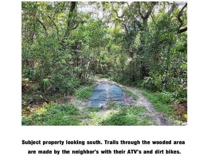 Lantana Avenue Clearwater FL 33755 TB8442403 image3