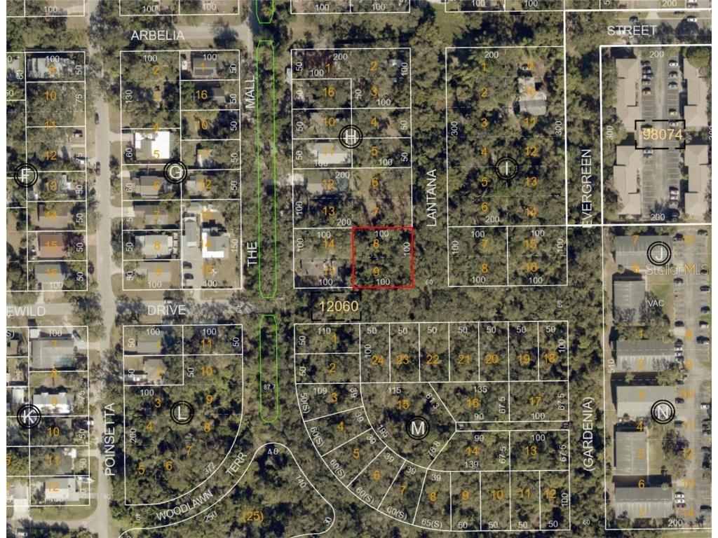 Lantana Avenue Clearwater FL 33755 TB8442403 image4