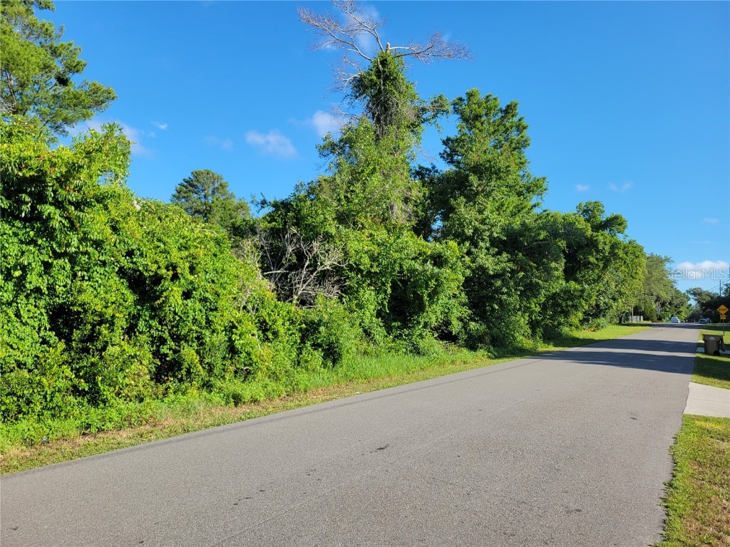 Laralack Avenue Leesburg FL 34788 G5083545 image1