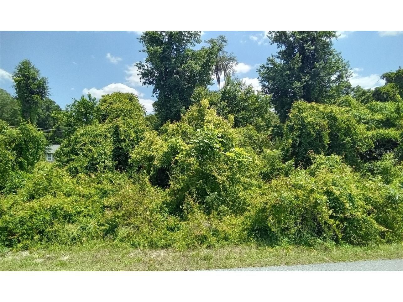 Larch Course Ocala FL 34480 OM679499 image1