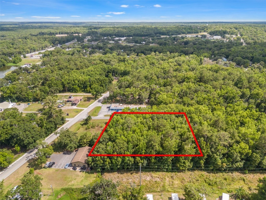 Lark Avenue Brooksville FL 34601 T3535090 image1